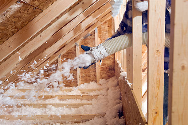 Best Garage Insulation  in Dowagiac, MI